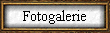 Fotogalerie