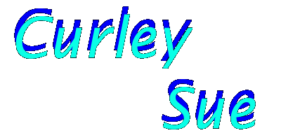Curley Sue